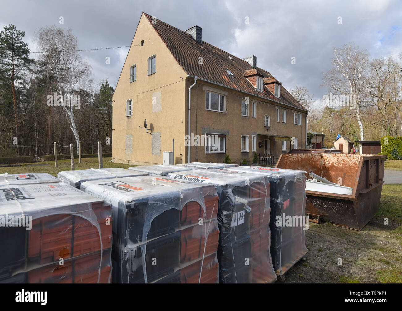 Alwine, Allemagne. Mar 19, 2019. Plusieurs palettes avec des tuiles du toit et d'un réservoir pour gravats se tenir en face d'un immeuble délabré dans le petit village de Alwine, qui appartient à l'Domsdorf district de la ville de Uebigau-Wahrenbrück dans l'Elbe-Elster district. (Pour 'Alwine a été vendue aux enchères il y a un an') Credit : Patrick Pleul/dpa-Zentralbild/ZB/dpa/Alamy Live News Banque D'Images
