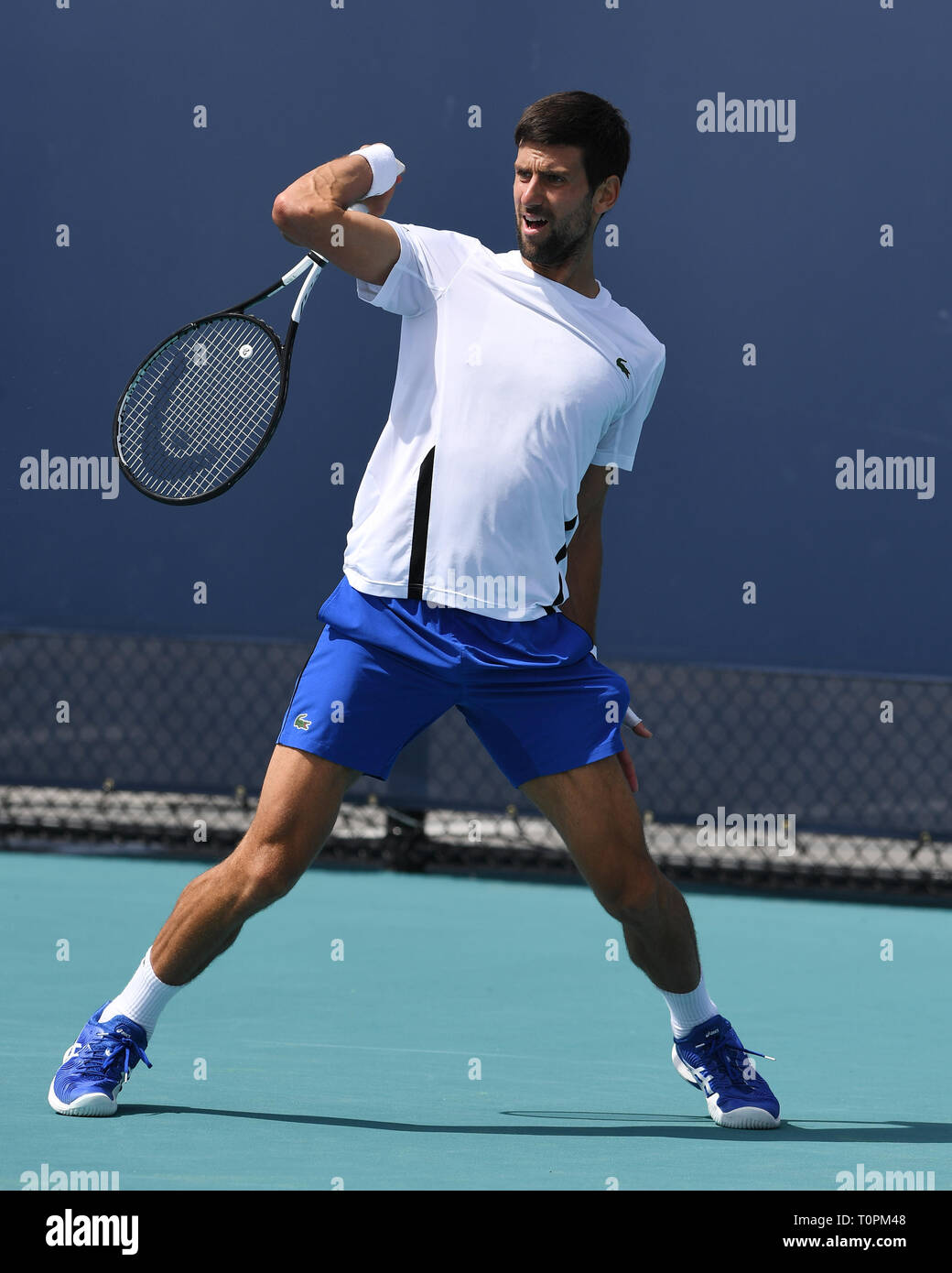 Jardins de Miami en Floride, USA. Mar 21, 2019. Novak Djokovic est vu pratiquer au cours de l'Open de Miami qui a eu lieu au Hard Rock Stadium le 21 mars 2019 à Miami Gardens, en Floride. Credit : Mpi04/media/Alamy Punch Live News Banque D'Images