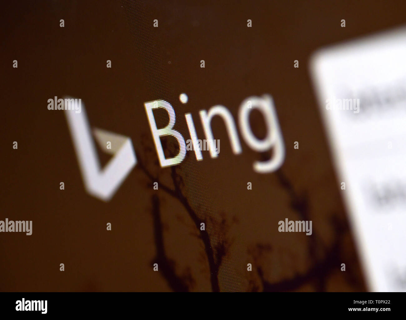 Stock photo de l'icône des médias sociaux Bing sur un ordinateur portable. Banque D'Images