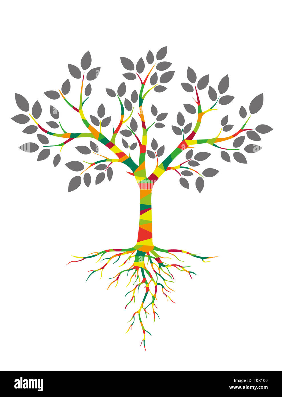 Arbre Genealogique Simple Avec Frere Et Soeur Family tree genealogy vector Banque de photographies et d'images à haute  résolution - Alamy