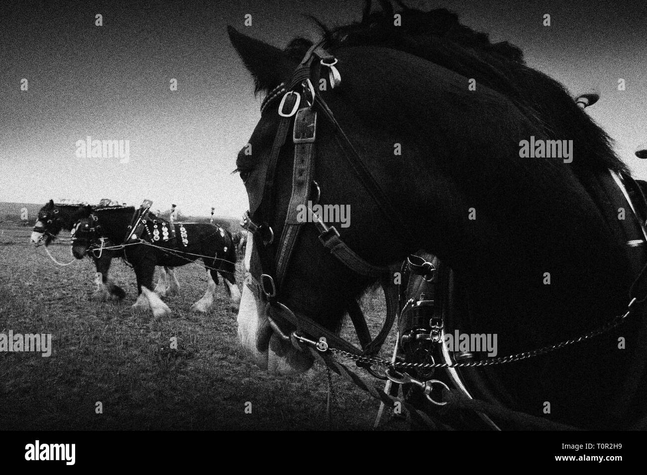 Memorial de Labour, 2014, Shorwell, île de Wight, Angleterre, Royaume-Uni, ©Patrick Eden, 2014 Photographie Banque D'Images