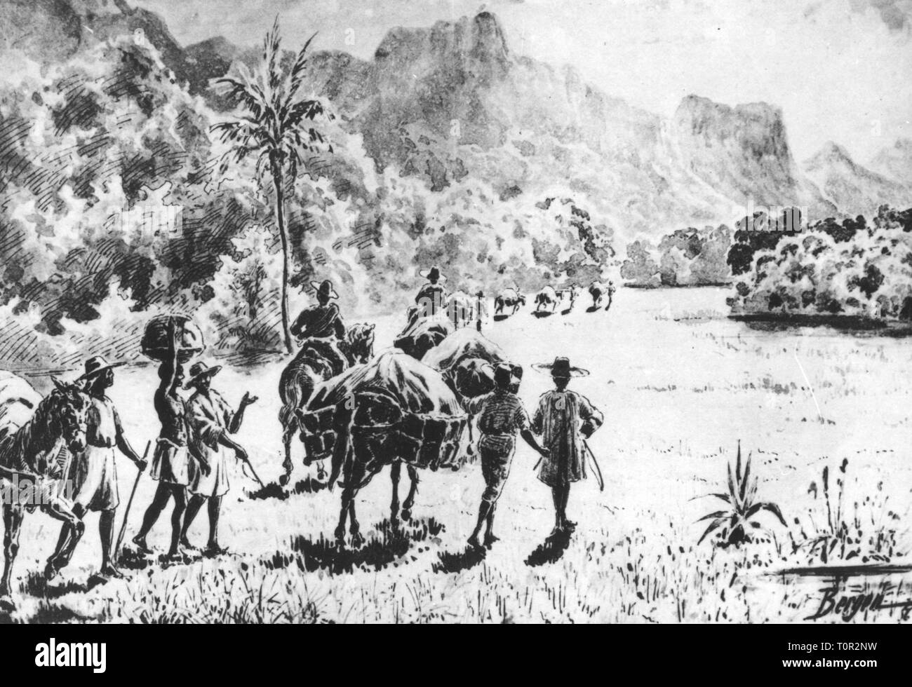 Géographie / Cuba, voyage, transport / Transport, mule caravan, illustration par Bergen, vers 1890, Additional-Rights Clearance-Info-Not-Available- Banque D'Images