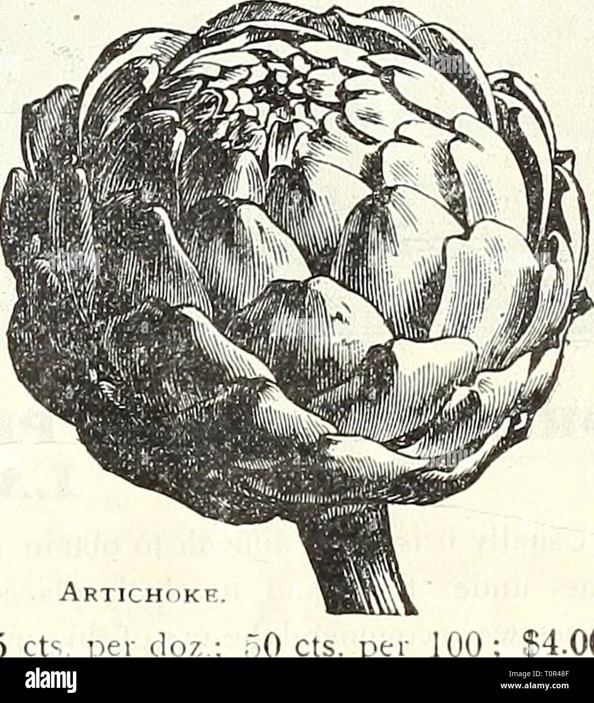 Dreer's 1838 1908 livre le jardin Banque D'Images