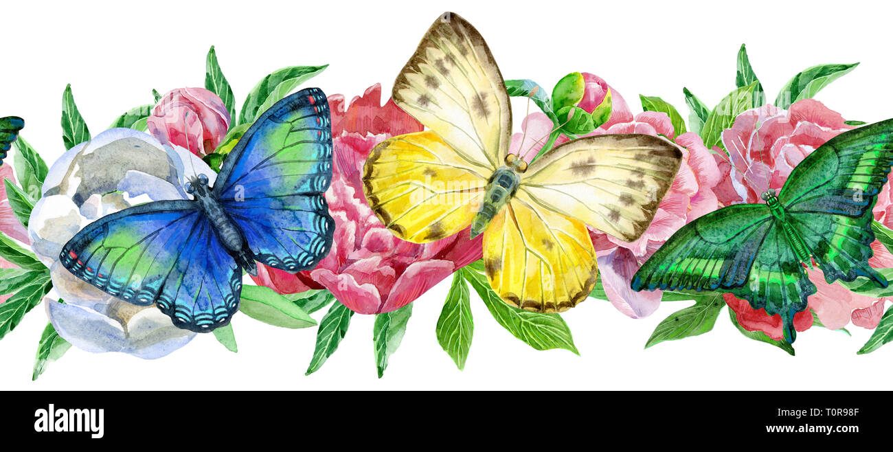 Frontière florale avec papillons colorés et pivoines sur fond blanc. Conception artistique pour motif floral pour l'emballage, du textile, du papier peint, Banque D'Images