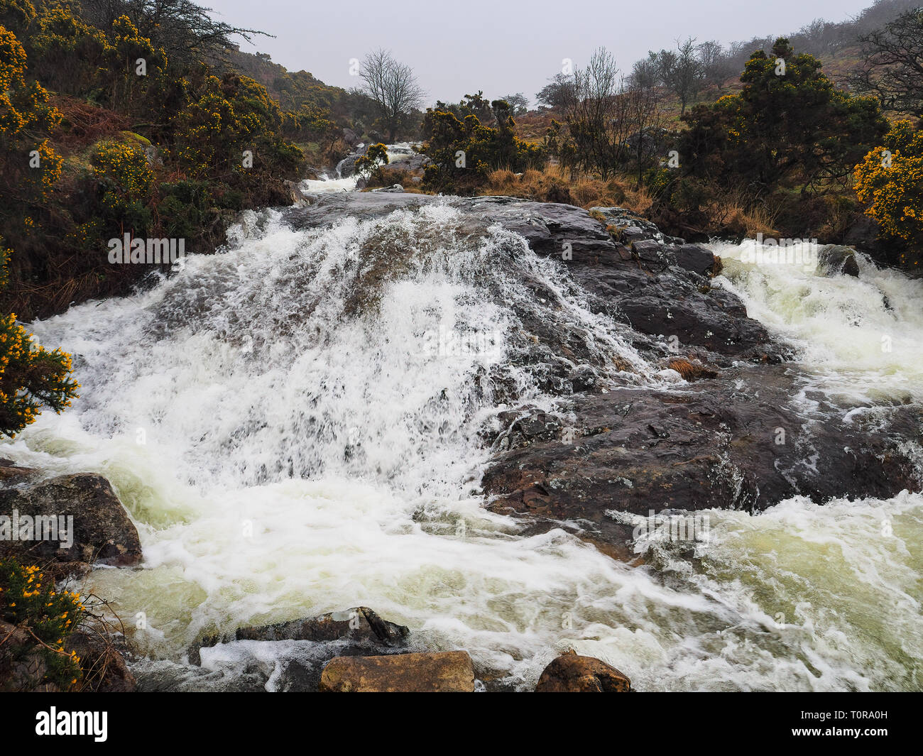 En cascade sur les rochers de l'eau à travers la vallée de Red-a-ven Brook, Dartmoor National Park, Devon, UK Banque D'Images