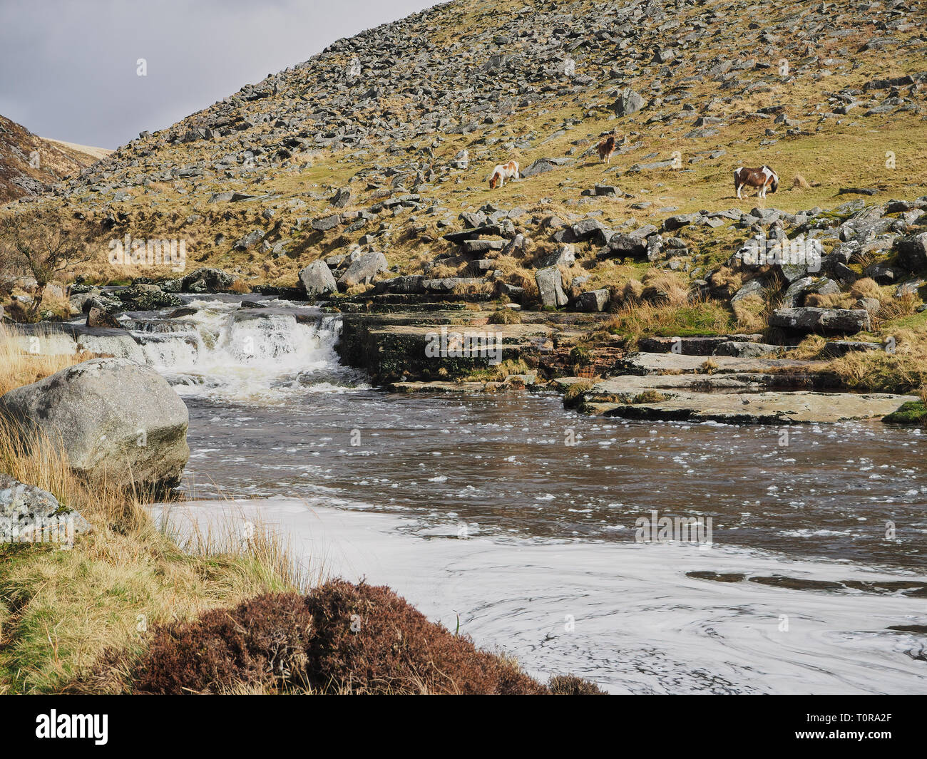 En cascade sur les rochers de la rivière Tavy Tavy par le Cleave, Dartmoor National Park, Devon, UK Banque D'Images