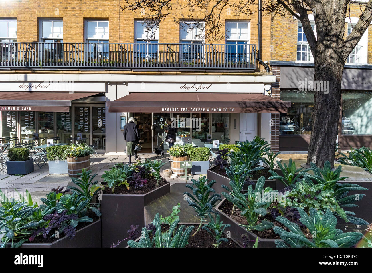 Une femme avec son chien à l'extérieur de Daylesford Organic Food shop sur Pimlico Road, Belgravia, Londres SW1 Banque D'Images