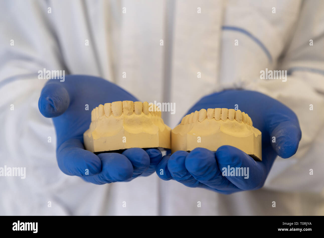 Dentiste dents mains tenant, denture modèle Banque D'Images