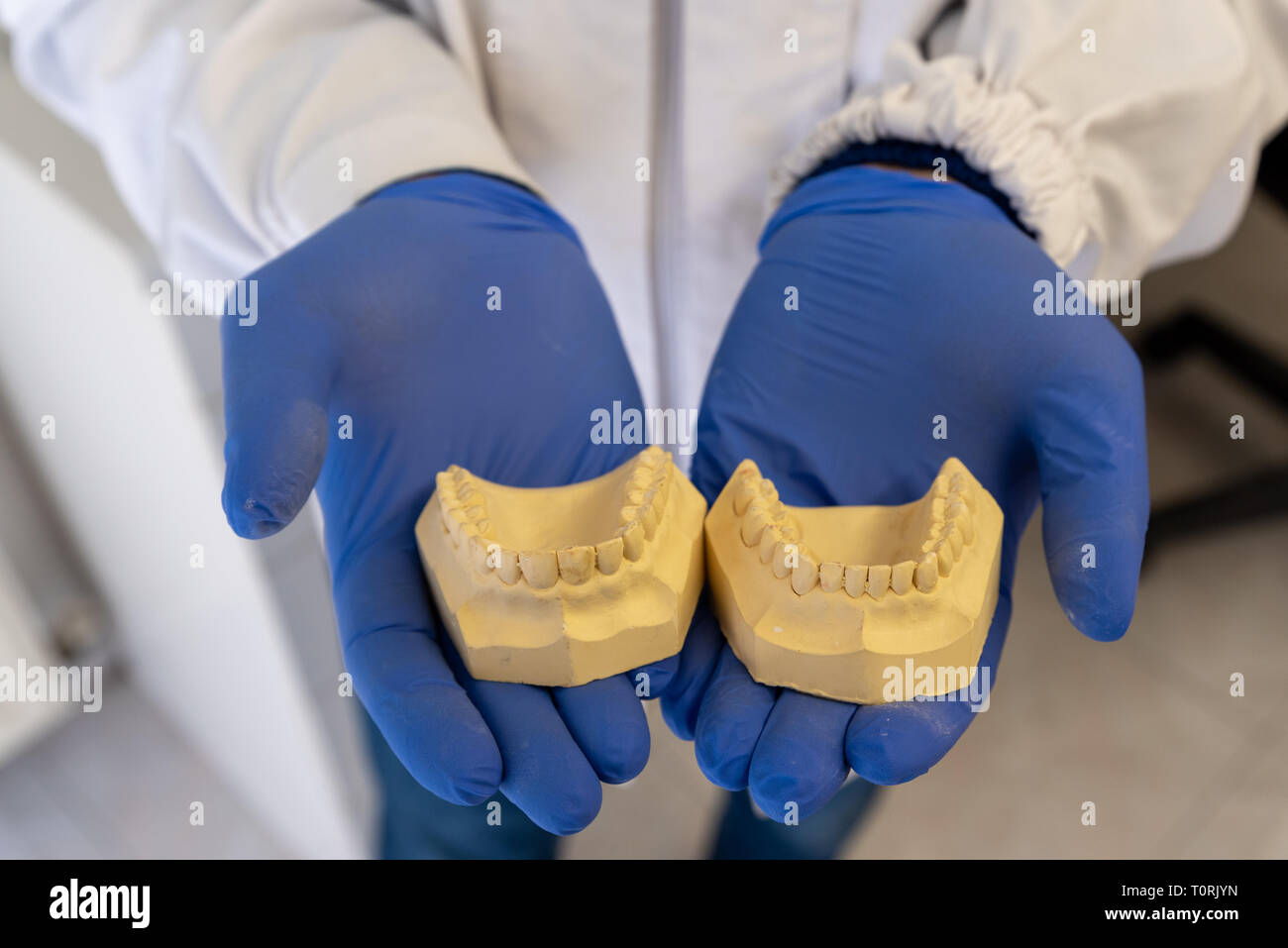 Dentiste dents mains tenant, denture modèle Banque D'Images