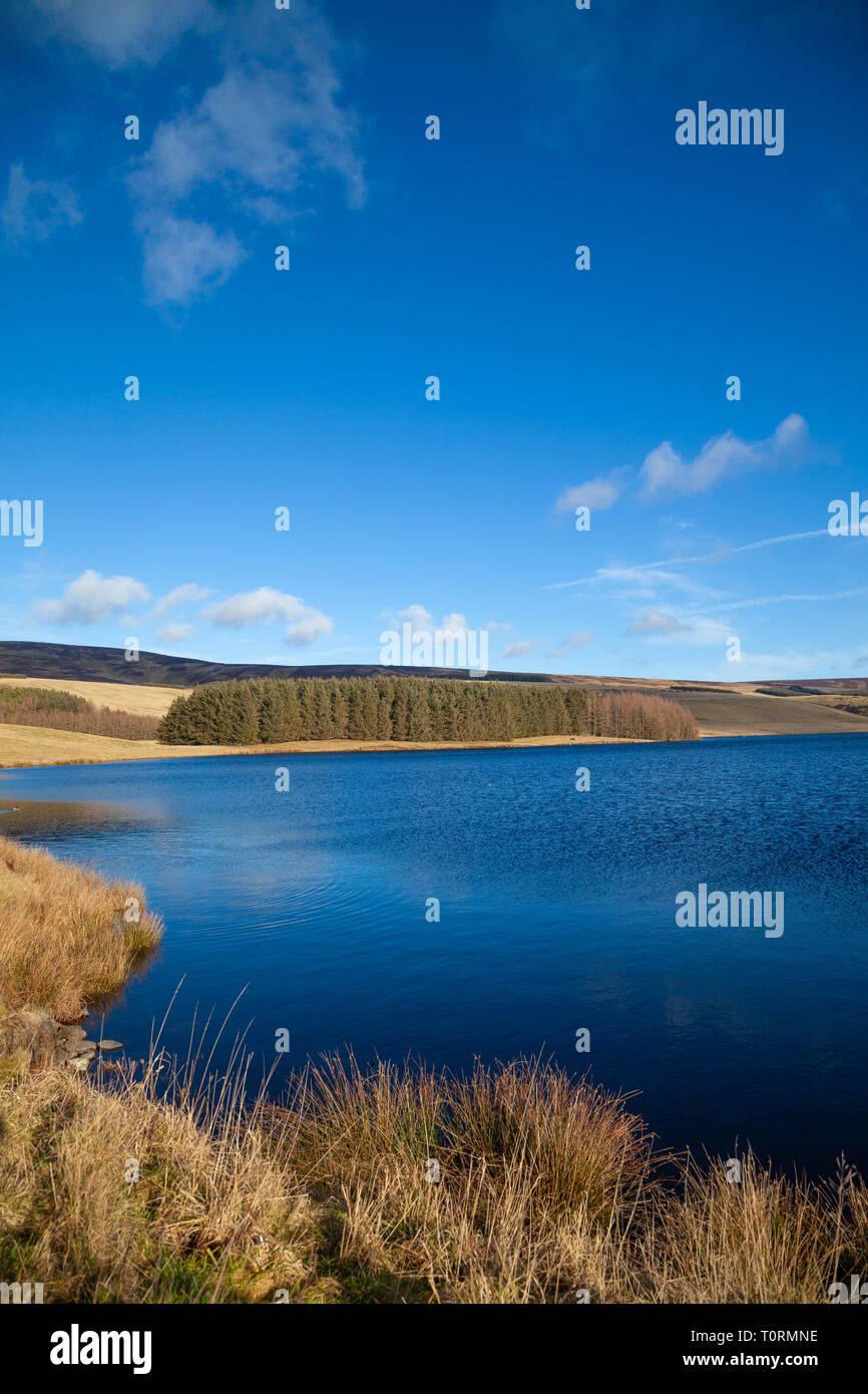 Whiteadder Reservoir est un réservoir en East Lothian, Scotland, UK Banque D'Images