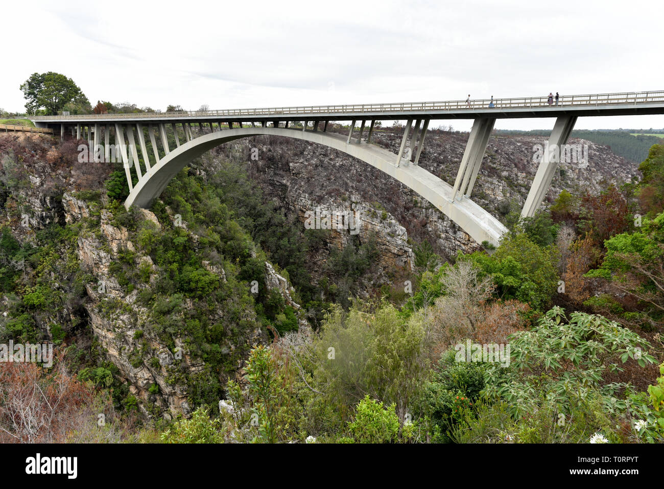 Pont de la rivière tempêtes sur la Garden Route, Western Cape, Afrique du Sud Banque D'Images