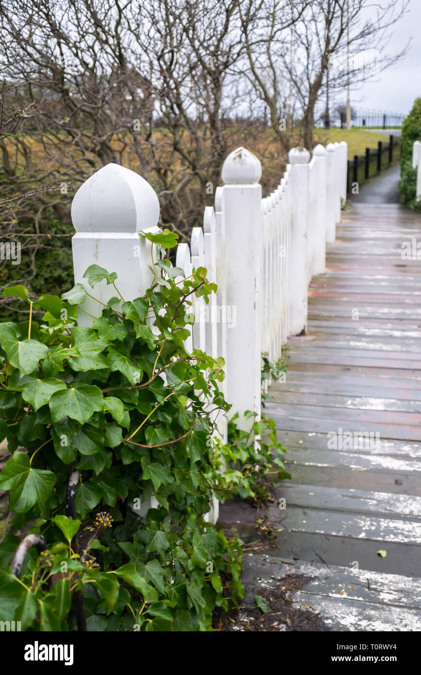 Ivy grandit la clôture blanche du pont de bois à travers Roker ravin, à Sunderland Roker Park Banque D'Images