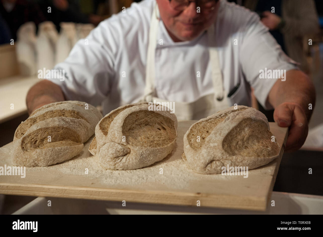 Boulanger Homme Divisant La Pâte à Pain Frais Avec Grattoir En Acier Dans  Une Boulangerie