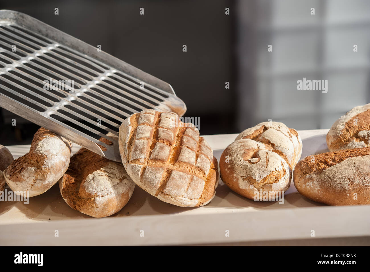 Pains et de petits pains fraîchement cuit au four à partir de la peau à la boulangerie du comptoir. Banque D'Images
