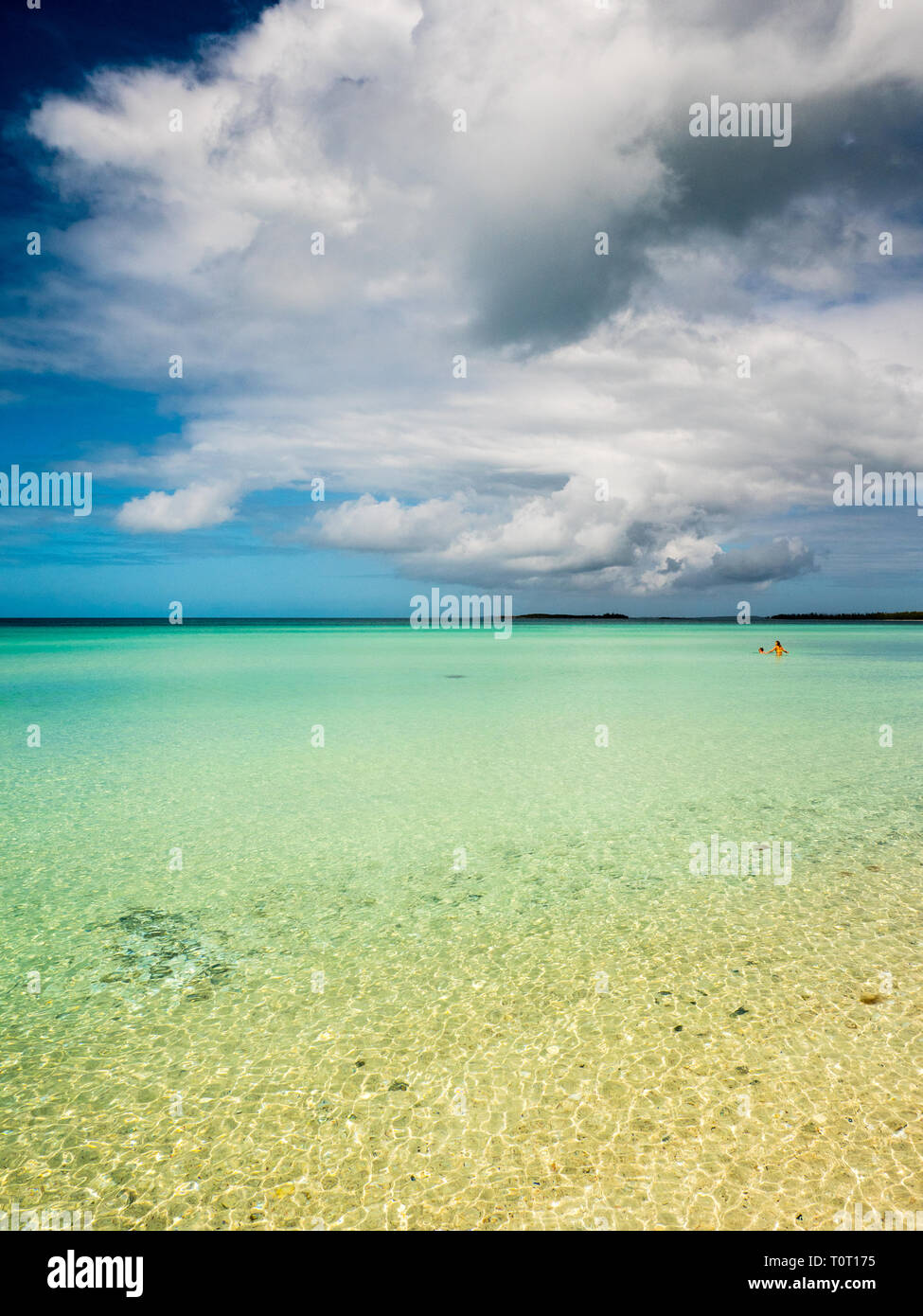 Les Coquillages Sous l'Eau, Paysage, Plage Bahamas Cocodimama Eleuthera, Harbour, gouverneurs, aux Bahamas, dans les Caraïbes. Banque D'Images