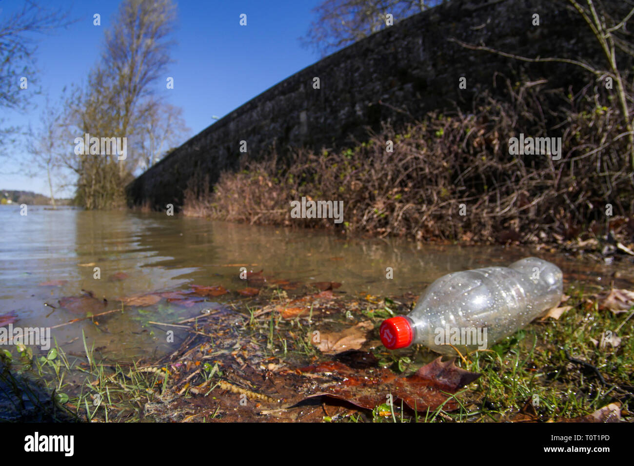 Bouteille en plastique flottant sur les eaux de la rivière Saône, Fontaine-sur Saône, France Banque D'Images