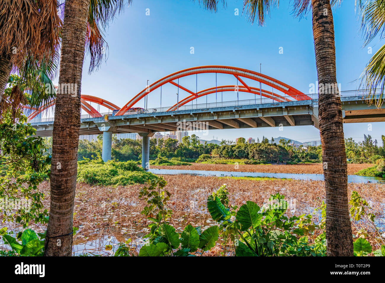 Vue sur le pont en arc-en-ciel dans le parc Honghu Banque D'Images