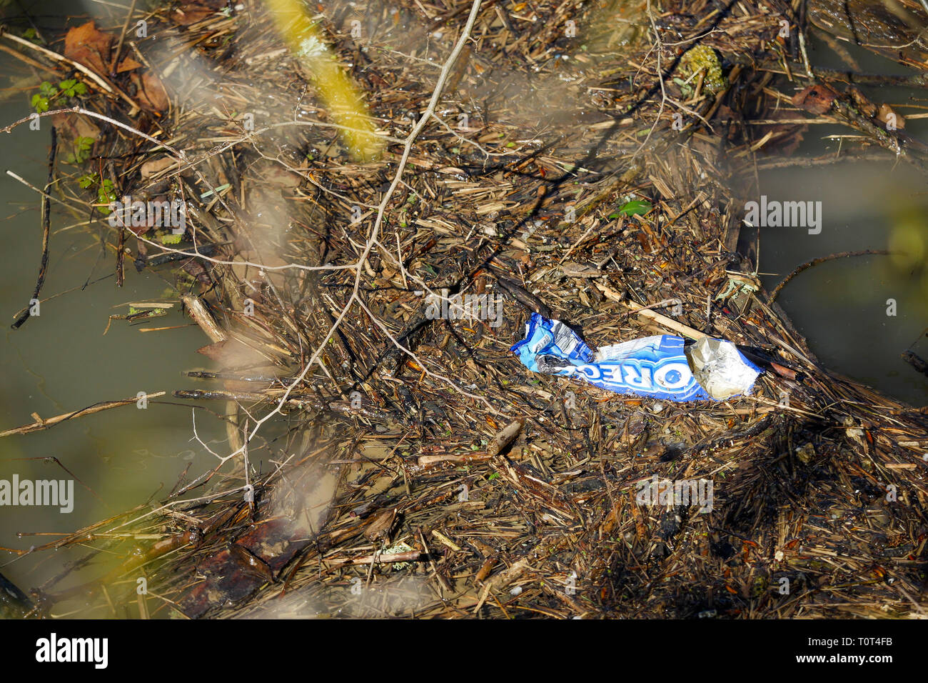 Bouteille en plastique flottant sur les eaux de la rivière Saône, Fontaine-sur Saône, France Banque D'Images