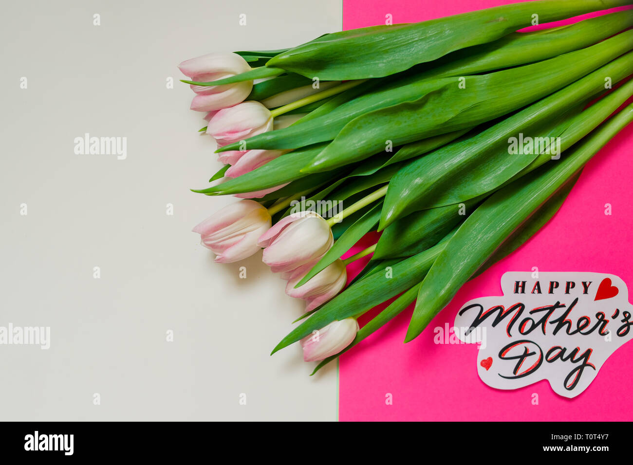 Tulipe Rose doux et carte de souhaits avec Happy Mothers Day.tulipes et un signe pour la fête des mères. Beau bouquet de tulipes blanches et roses sur la carte Banque D'Images