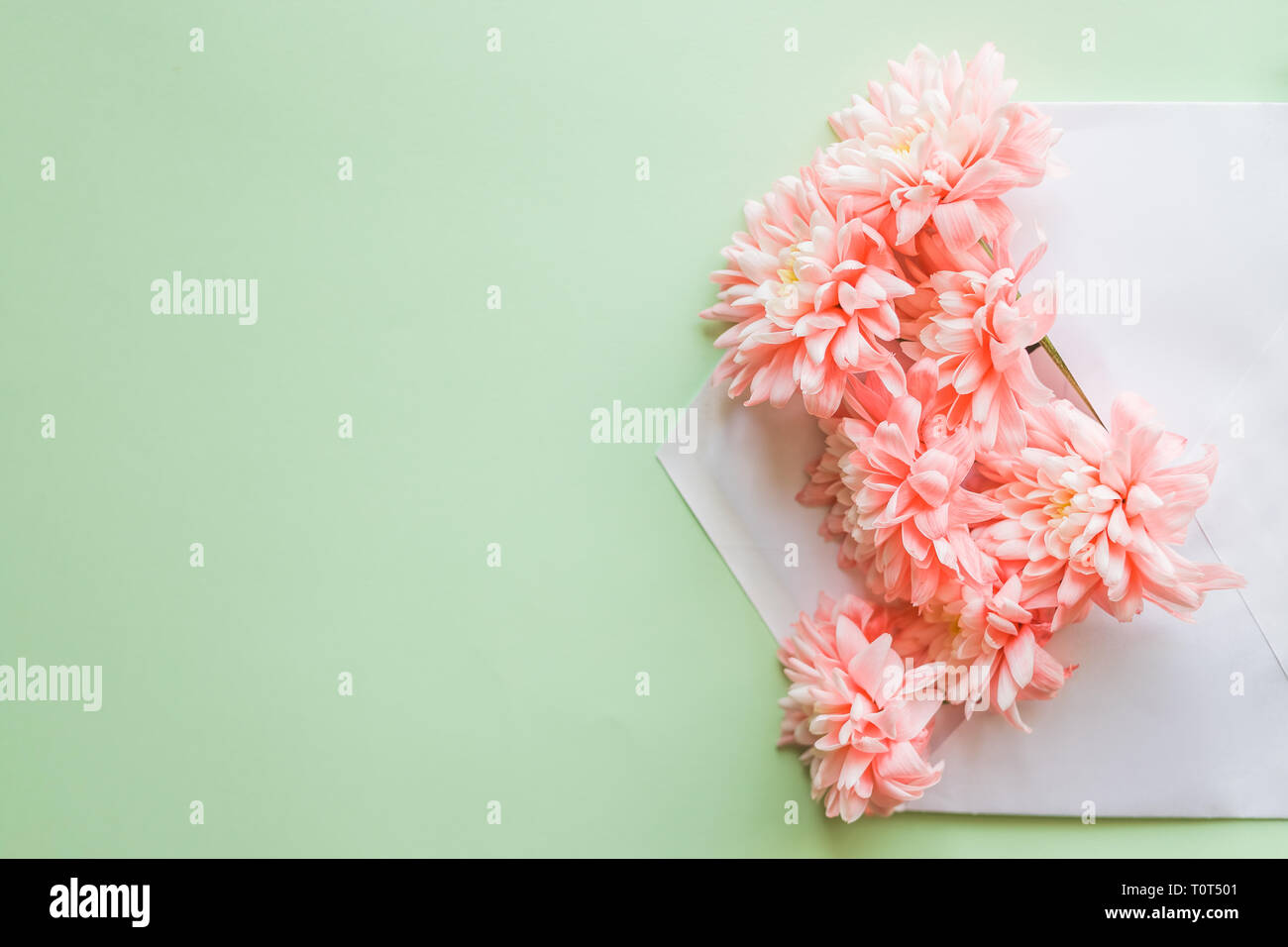 La composition de fleurs pour carte de souhaits.Avec chrysanthèmes et enveloppe.mail pour vous. Arrière-plan de printemps. Cartes d'invitation de mariage ou lettre d'amour Banque D'Images