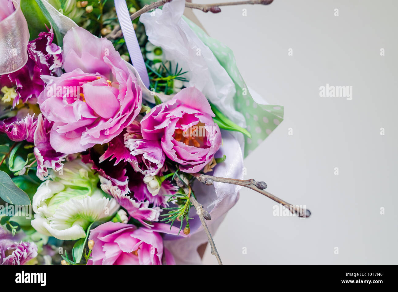 Pivoine rose double tulip, belle chambre double tulipe rose Drumline. Fleur de pivoine rose tulipe double.fleurs colorées pour les vacances. Happy mothers day Banque D'Images