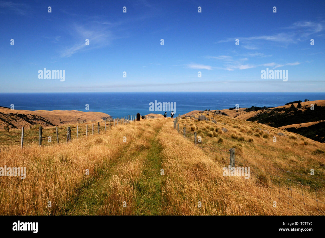 La piste jusqu'à Te Oka Bay sur la péninsule de Banks sur néos-zélandais l'île du Sud, près de Christchurch. Banque D'Images