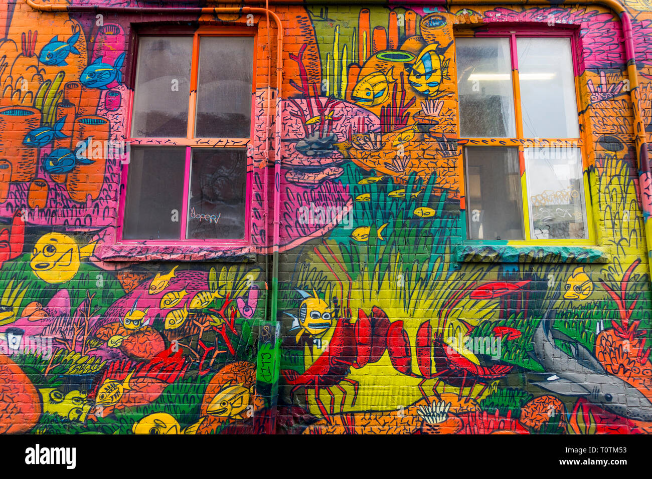 Un grand nombre de peintures murales colorées qui sont devenus une attraction touristique mineure dans une zone connue sous le nom de ruelle de graffiti Toronto Ontario Canada Banque D'Images