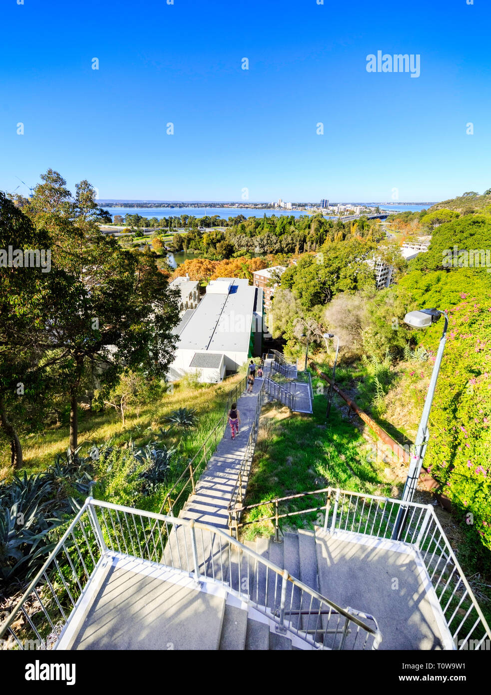 L'exercice par les personnes à monter et descendre l'échelle Jacon étapes. Banque D'Images