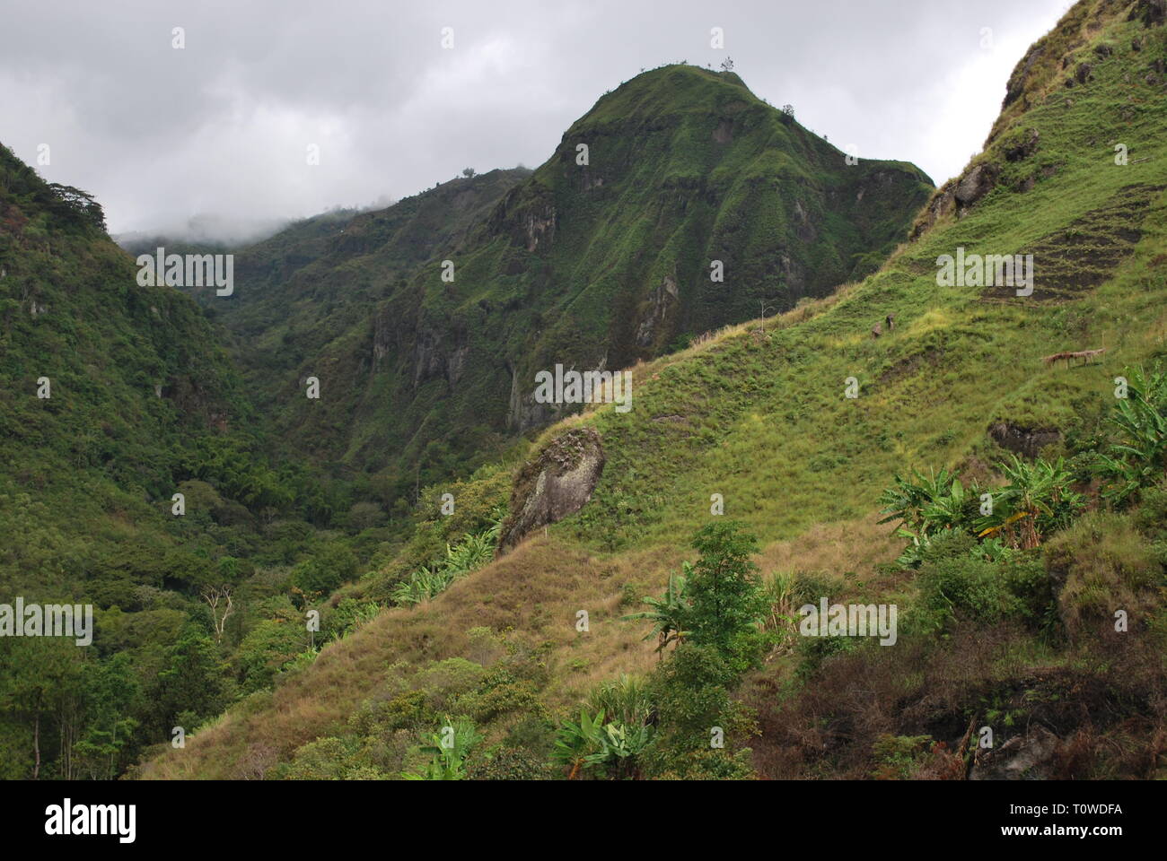 Valley près de archéologiques Tierradentro, département du Cauca, Colombie Banque D'Images