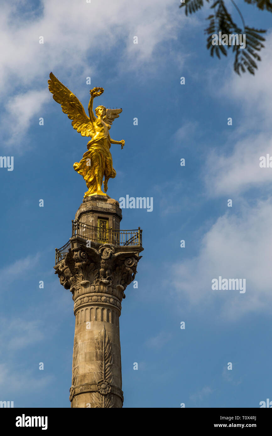 Ángel de la Independencia, inauguré en 1910 et au coeur de la ville de Mexico, rend hommage aux héros de l'indépendance du Mexique. Banque D'Images