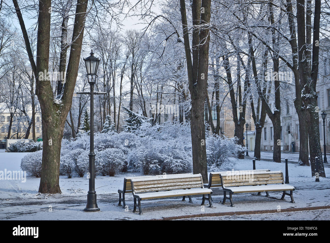 Banc De Neige A Riga Lettonie Photo Stock Alamy