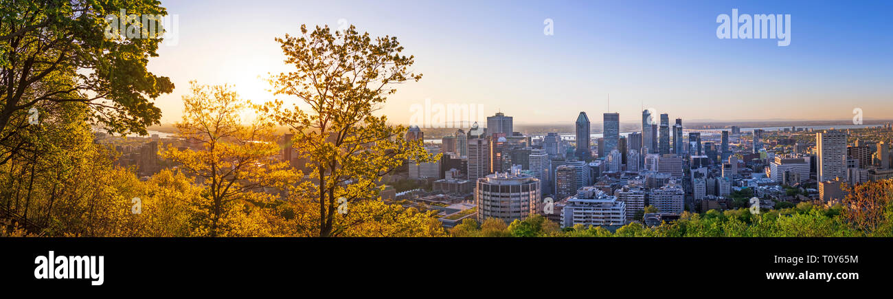 Magnifique vue de la ville de Montréal au lever du soleil avec l'architecture colorée en bleu, vert et jaune. Beau ciel et la lumière du soleil sur Montréal downto Banque D'Images