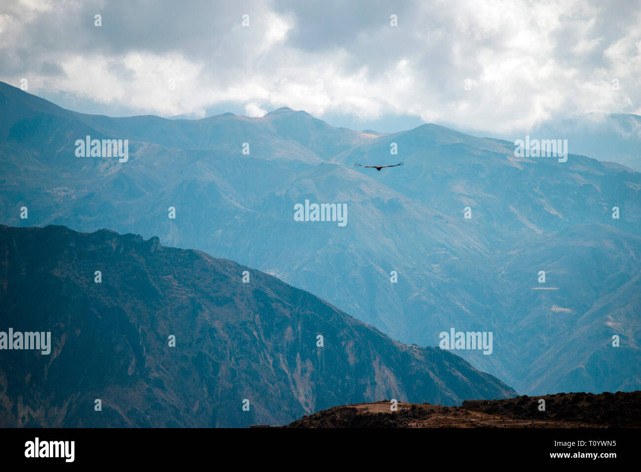 Paysage de montagne pittoresque avec condor dans Pery Banque D'Images