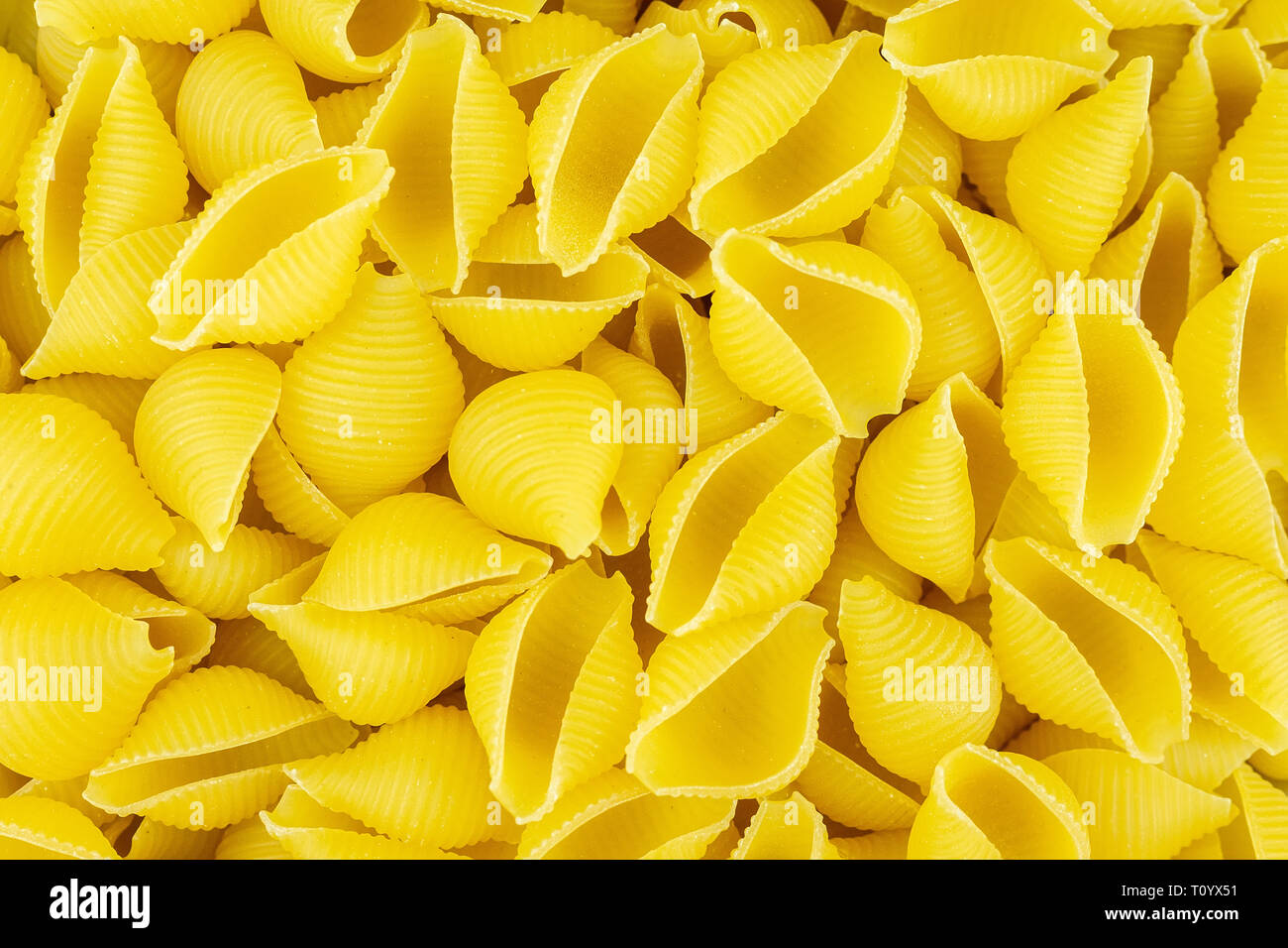 Contexte de la dispersion coquilles de pâtes conchiglie italien non cuites Banque D'Images