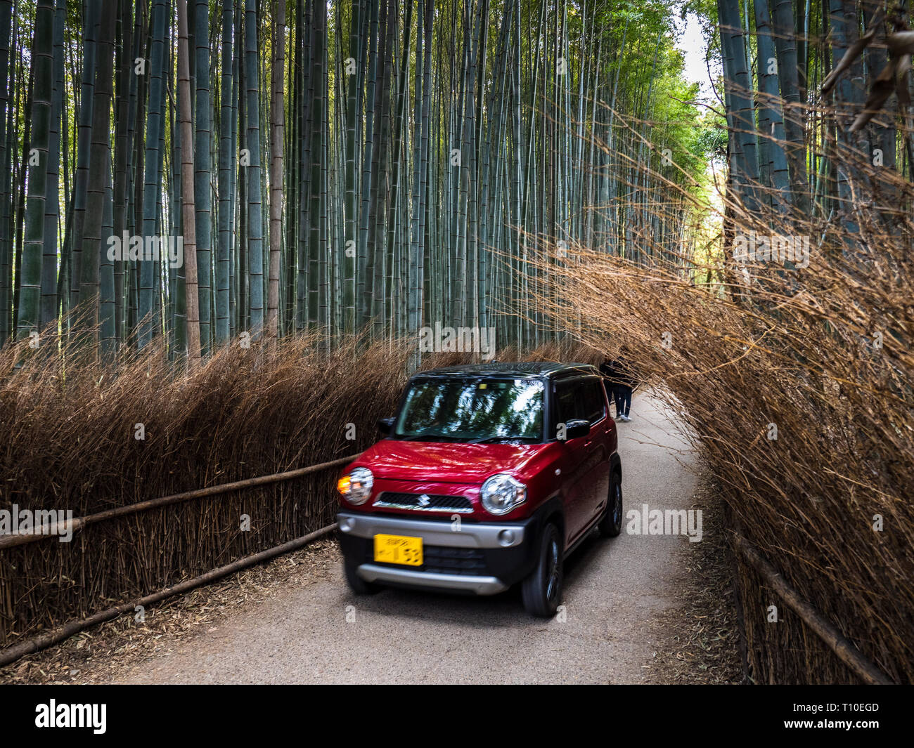 Japon Arashiyama Bamboo Grove - une petite voiture traverse la forêt de bambous d'Arashiyama près de Kyoto Japon Banque D'Images