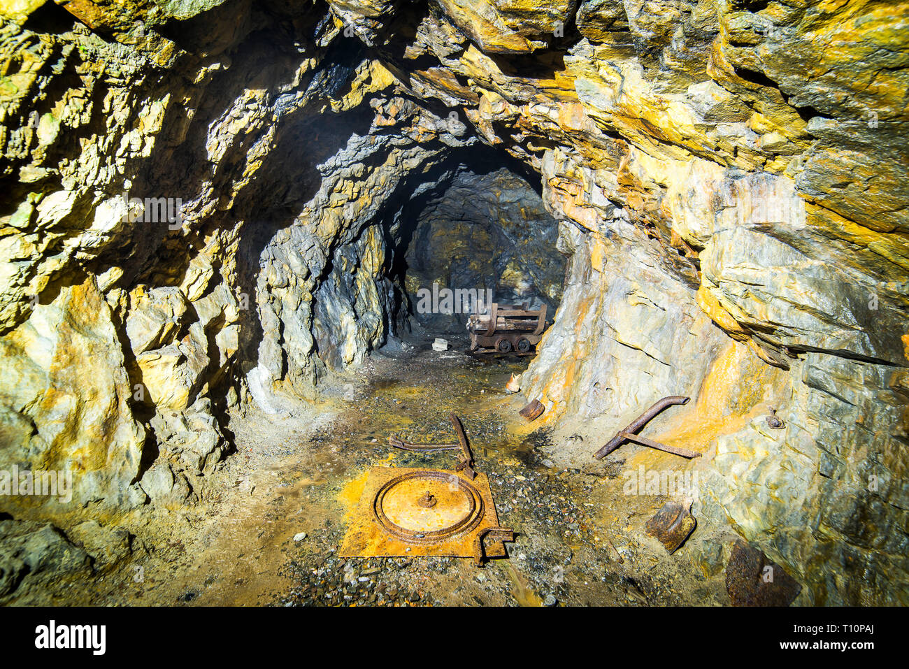 Project riese Banque de photographies et d’images à haute résolution ...