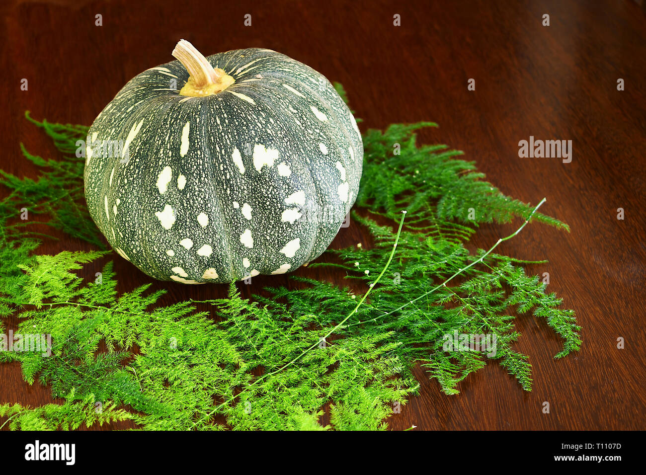 Une citrouille et de feuilles dans la table Banque D'Images