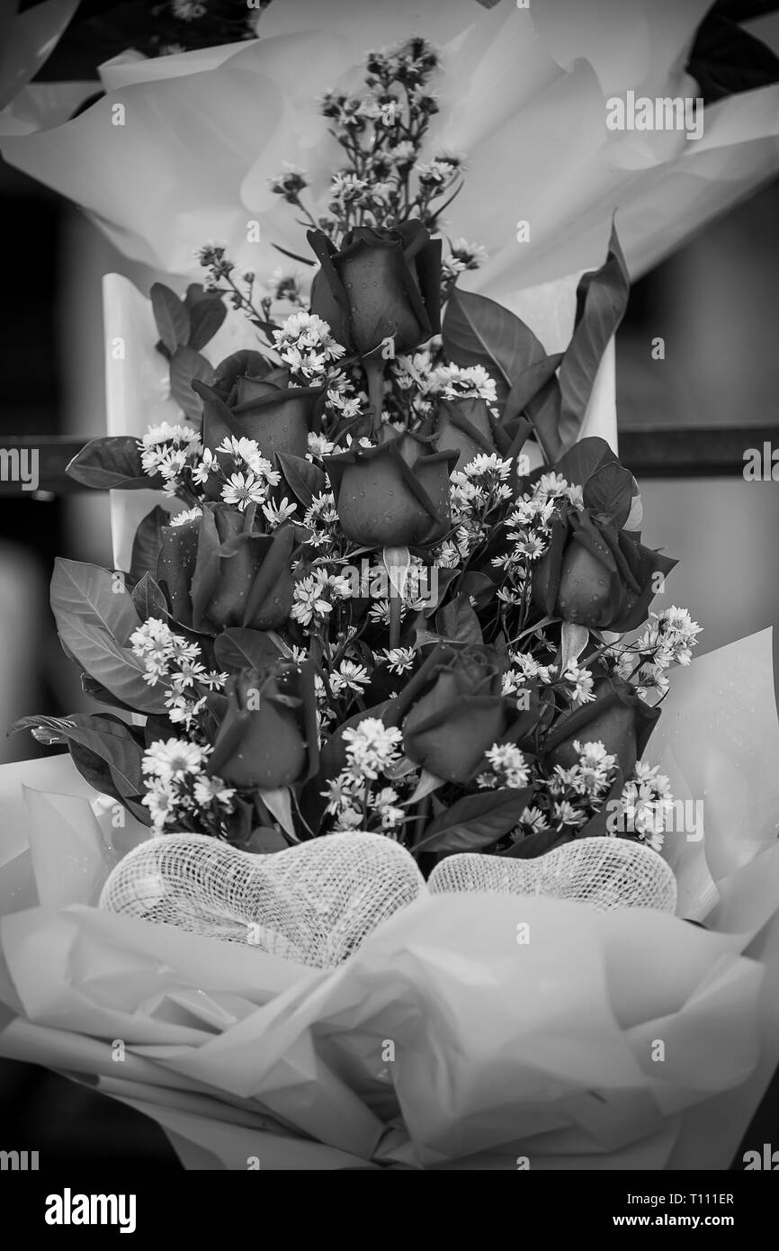 Bouquet de fleurs roses rouges. Style (noir et blanc ) Banque D'Images
