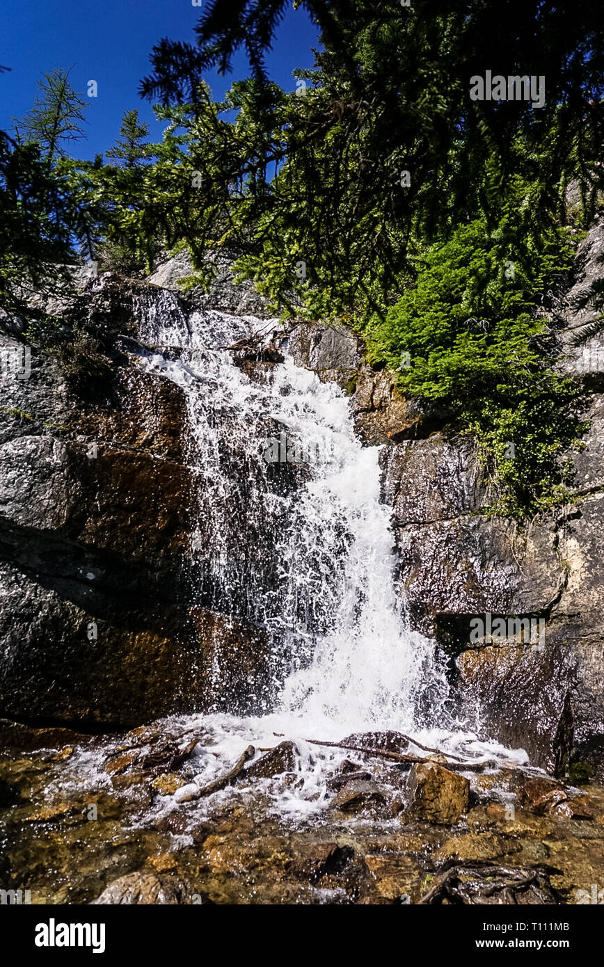 Sur la chute d'une maison de thé Trail dans les Rocheuses, dans le parc national Banff en Alberta Canada Banque D'Images