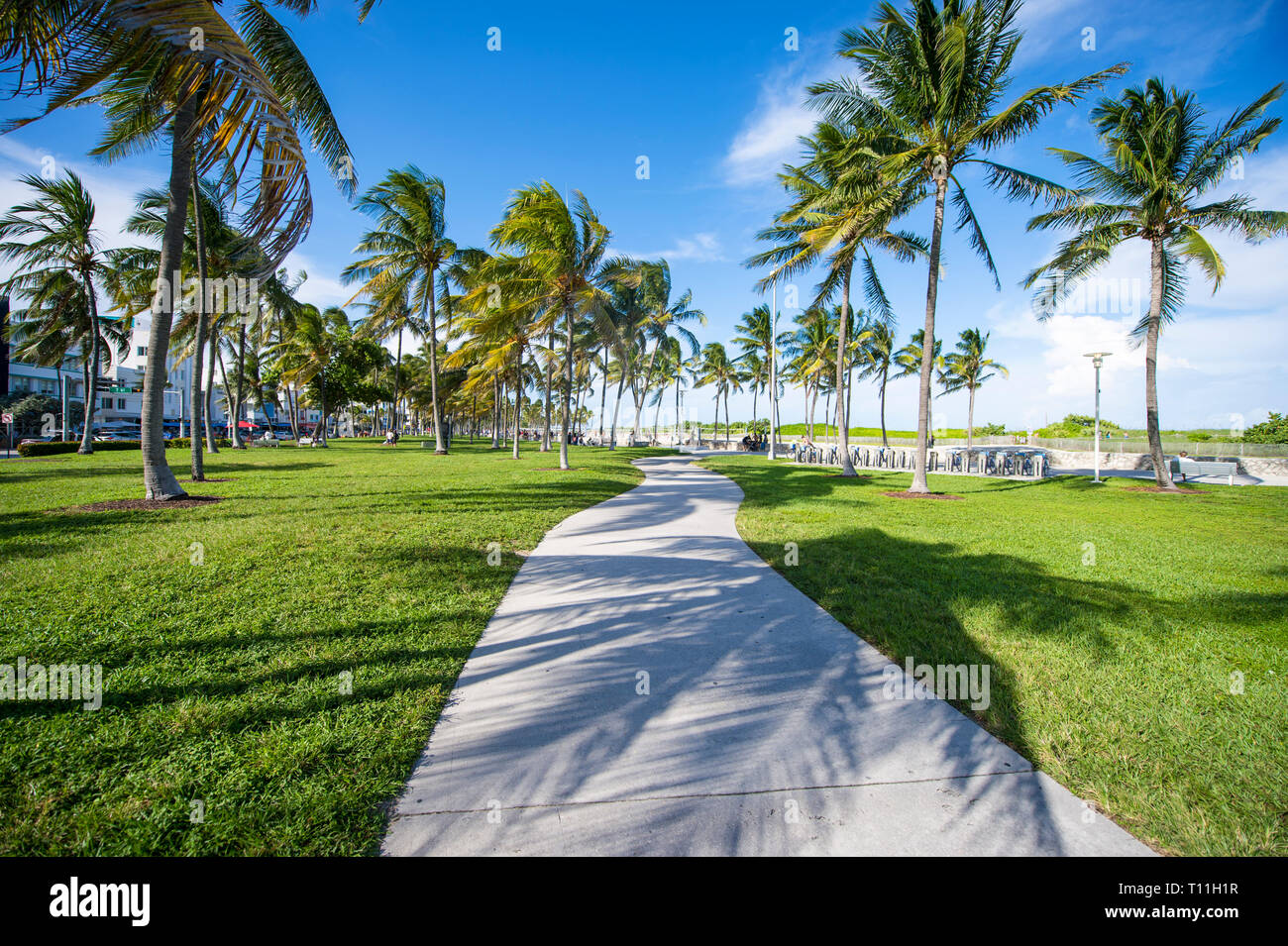 Vue panoramique lumineux matin de palmiers casting shadows au soleil du matin sur la promenade d'Ocean Drive à South Beach, Miami, Floride, USA Banque D'Images