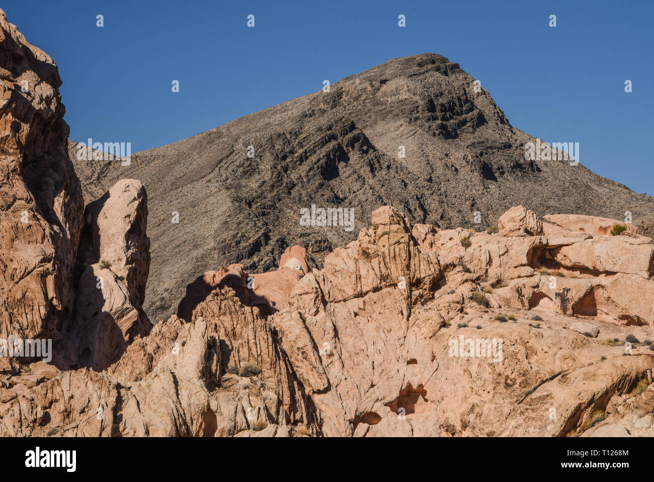 Gold Butte National Monument, Bunkerville, Nevada, USA Banque D'Images