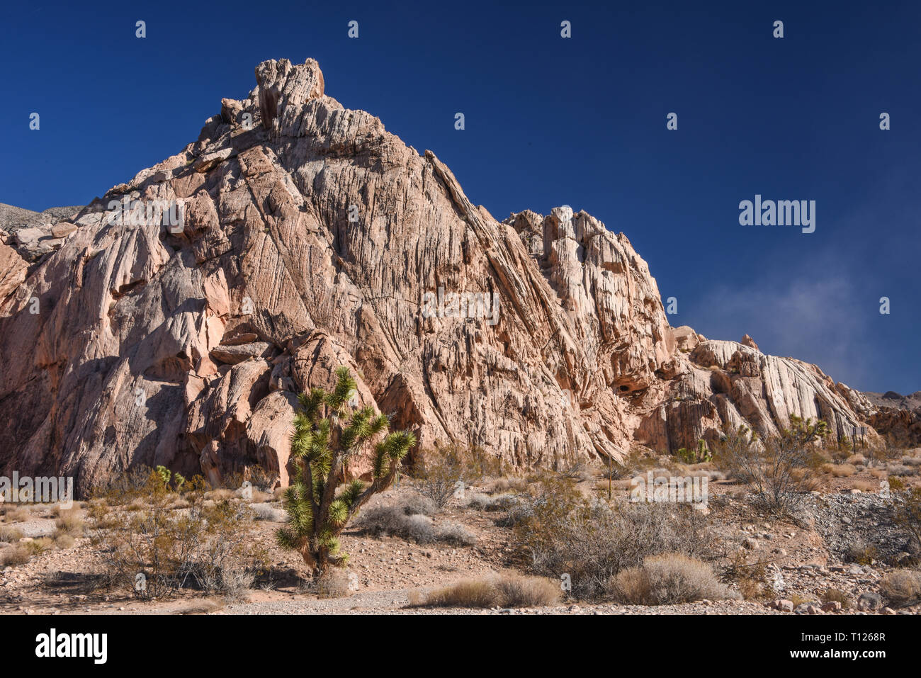 Gold Butte National Monument, Bunkerville, Nevada, USA Banque D'Images