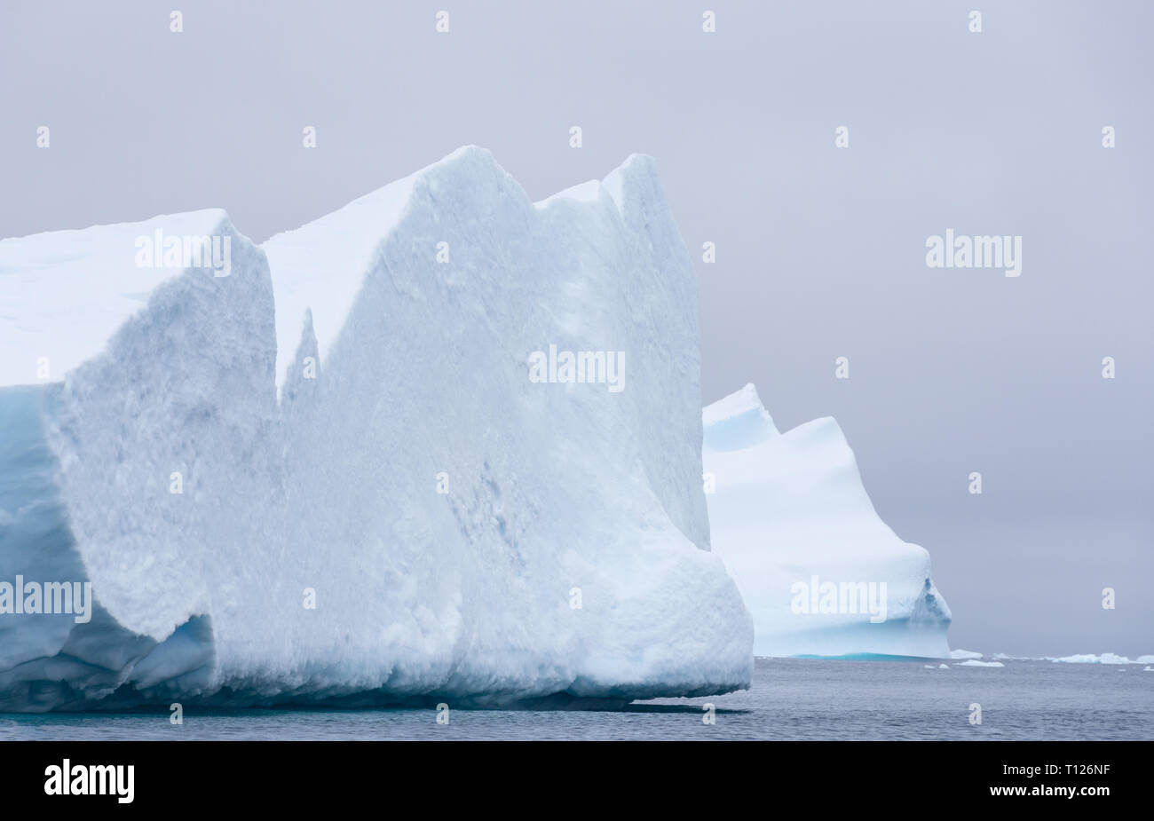 Deux grands icebergs flottant dans l'océan du sud de l'Antarctique avec un ciel couvert ci-dessus. Banque D'Images
