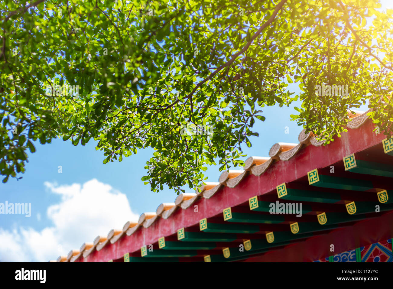 Bâtiment de style chinois Asan avec arbre vert frais d'assainissement de l'air ciel bleu. Chine ville durable eco concept. Banque D'Images