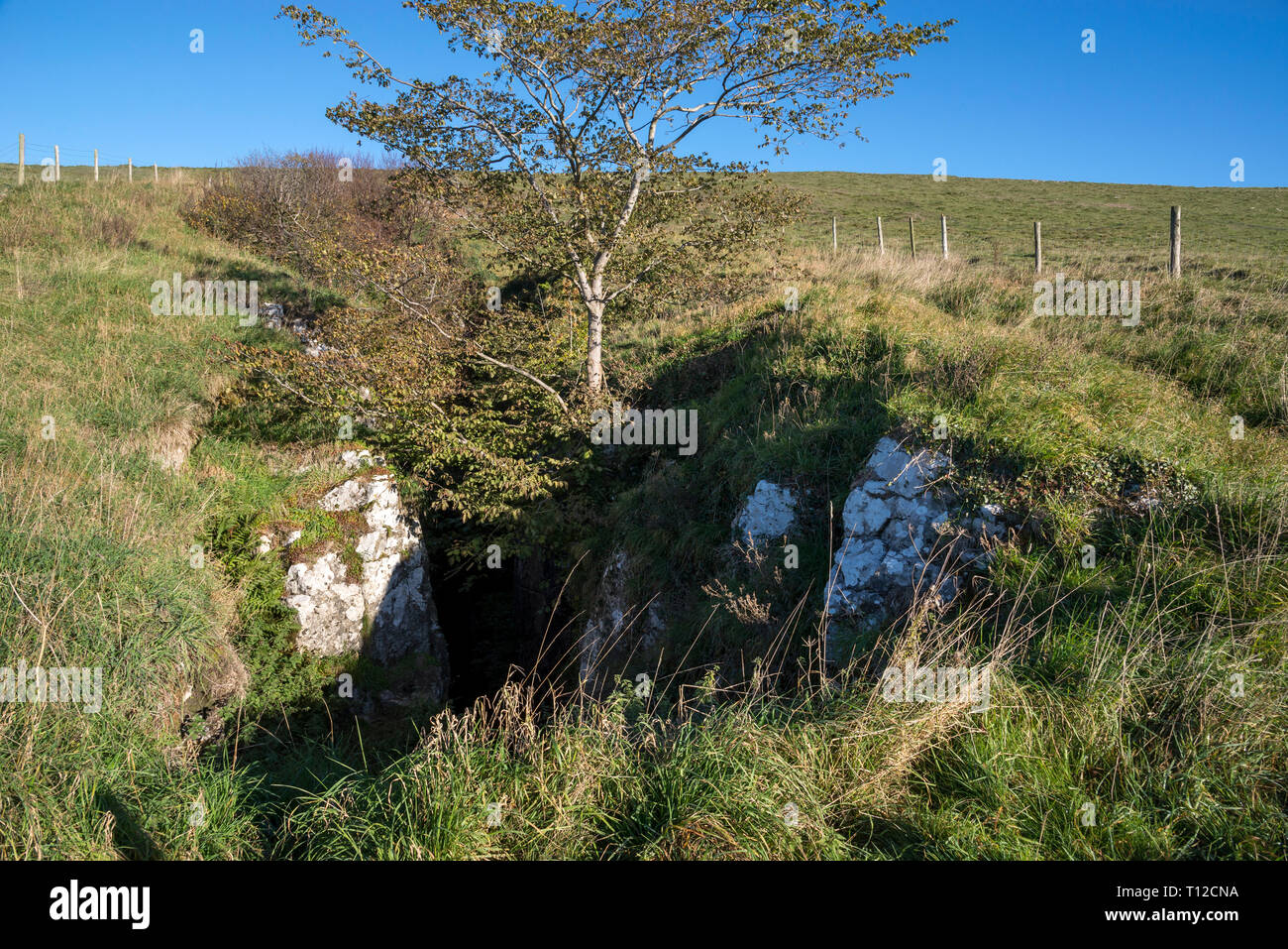 Eldon trou, un gouffre profond dans le paysage calcaire près de la forêt de pointe dans le Peak District, Derbyshire, Angleterre. Banque D'Images