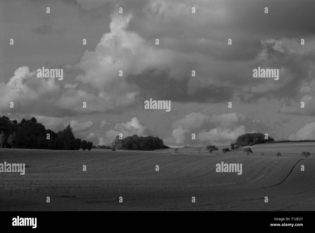 Noir et blanc photo paysage avec arbres, champ, ciel. Allemagne Banque D'Images