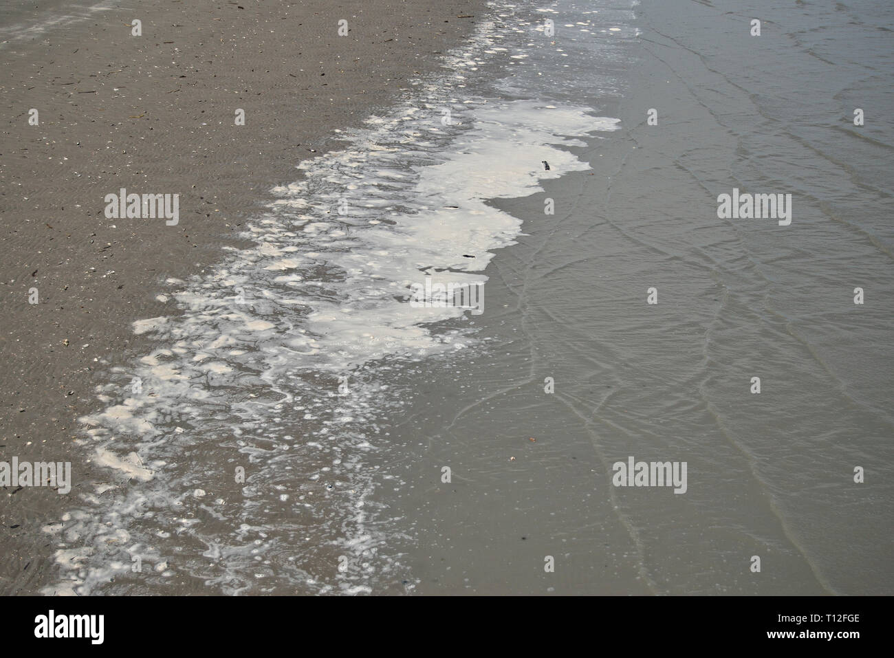 Sea Foam produits chimiques sur le bord de la mer Banque D'Images