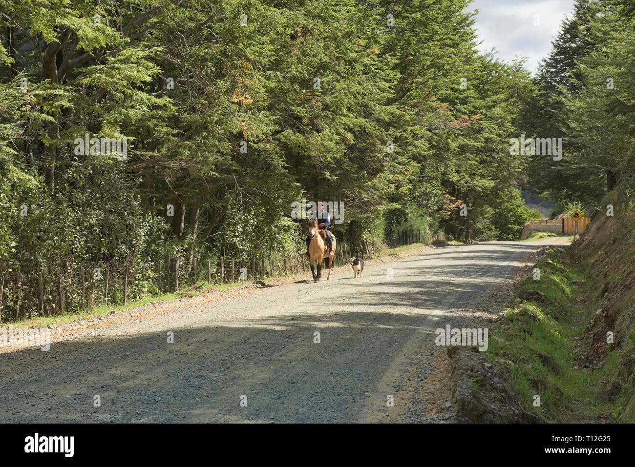 Gaucho traditionnelle à cheval, Patagonie, Chili, Futaleufú Banque D'Images