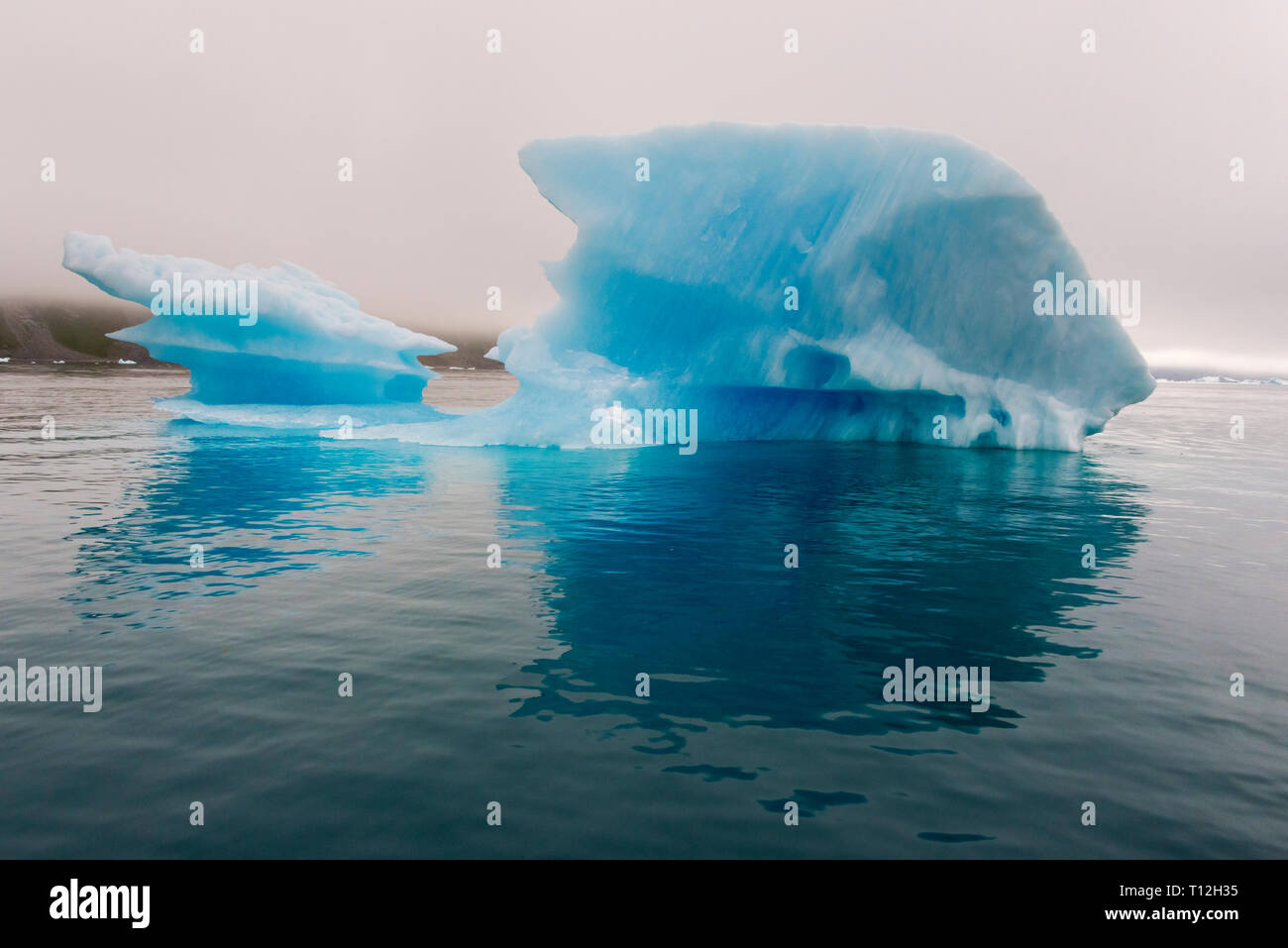 Blue iceberg dans le fjord de Narsarsuaq, Groenland Banque D'Images