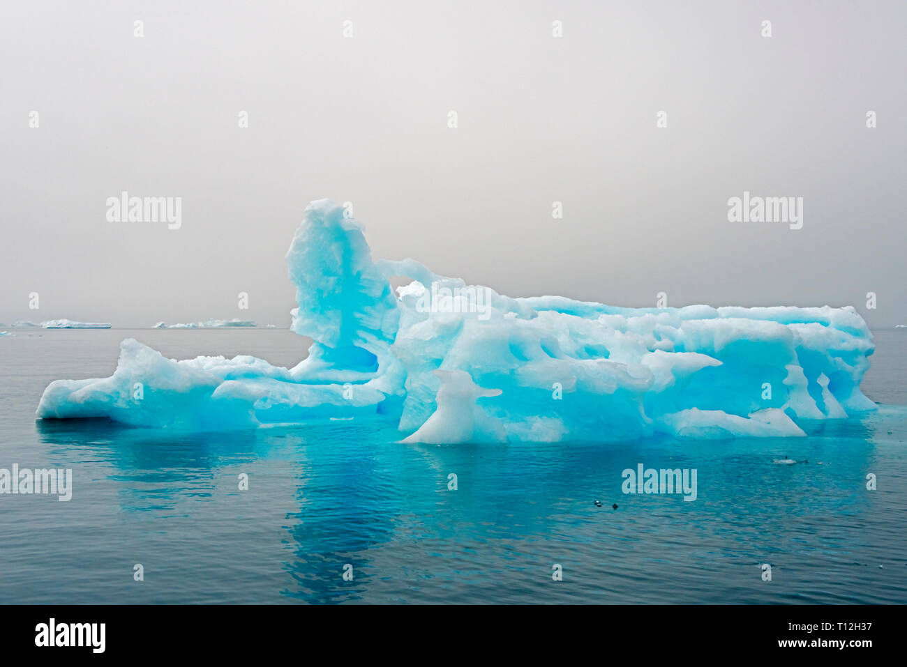 Blue iceberg dans le fjord de Narsarsuaq, Groenland Banque D'Images